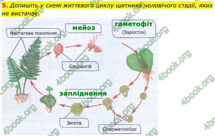 ГДЗ зошит Біологія 7 клас Кулініч