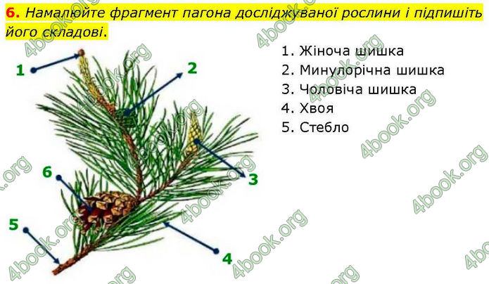 ГДЗ зошит Біологія 7 клас Кулініч