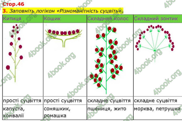 ГДЗ зошит Біологія 7 клас Кулініч