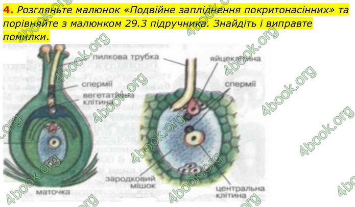 ГДЗ зошит Біологія 7 клас Кулініч