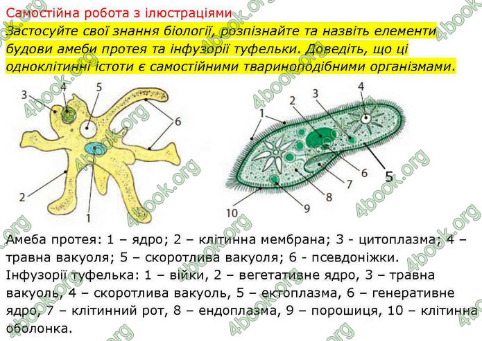 ГДЗ Біологія і екологія 10 клас Соболь