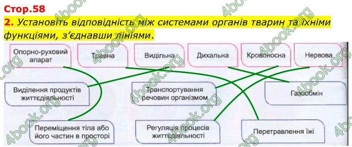 ГДЗ зошит Біологія 7 клас Кулініч