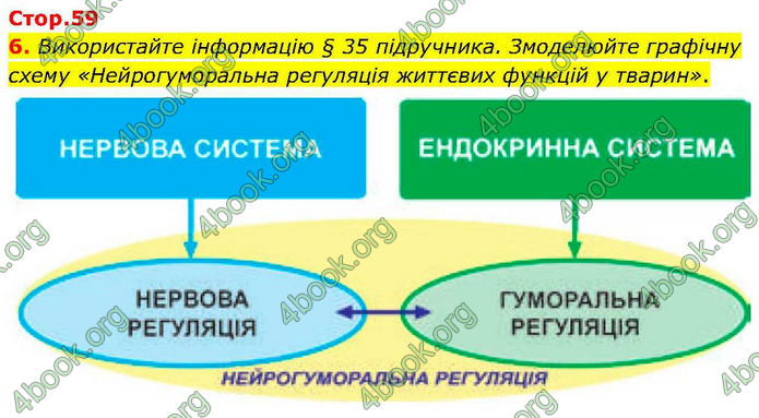 ГДЗ зошит Біологія 7 клас Кулініч