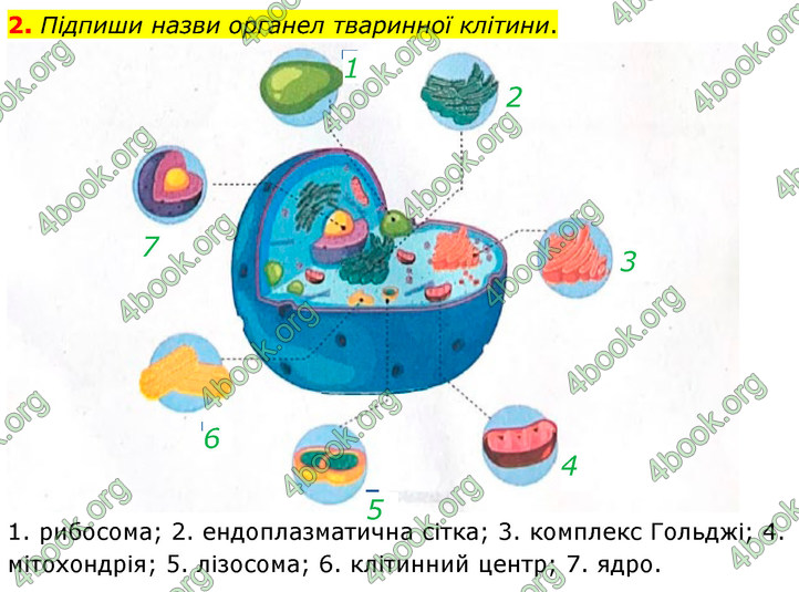 ГДЗ Зошит Біологія 7 клас Тагліна