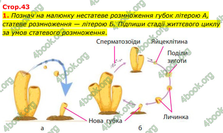 ГДЗ Зошит Біологія 7 клас Тагліна