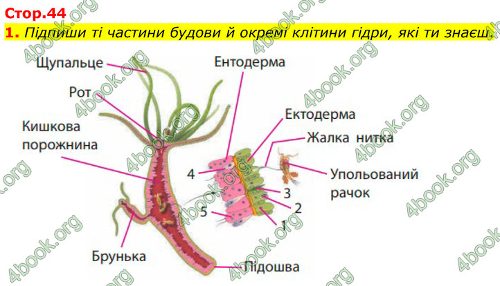 ГДЗ Зошит Біологія 7 клас Тагліна