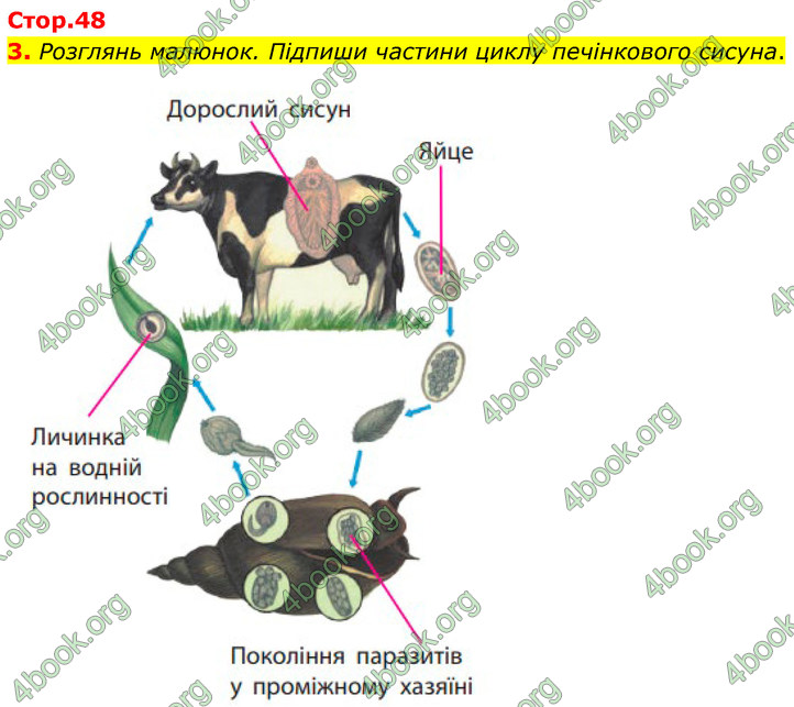 ГДЗ Зошит Біологія 7 клас Тагліна