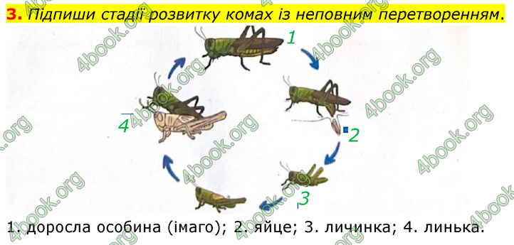 ГДЗ Зошит Біологія 7 клас Тагліна