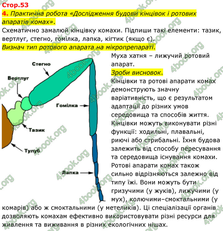 ГДЗ Зошит Біологія 7 клас Тагліна