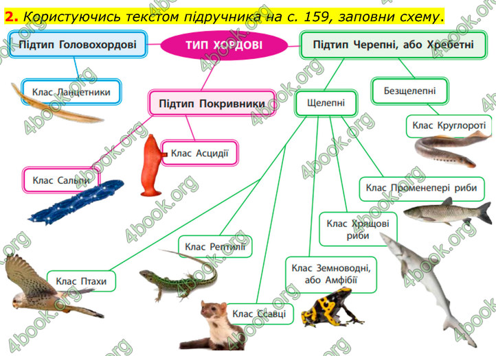 ГДЗ Зошит Біологія 7 клас Тагліна