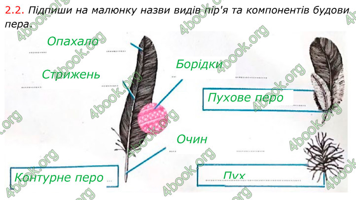 ГДЗ Зошит Біологія 7 клас Тагліна