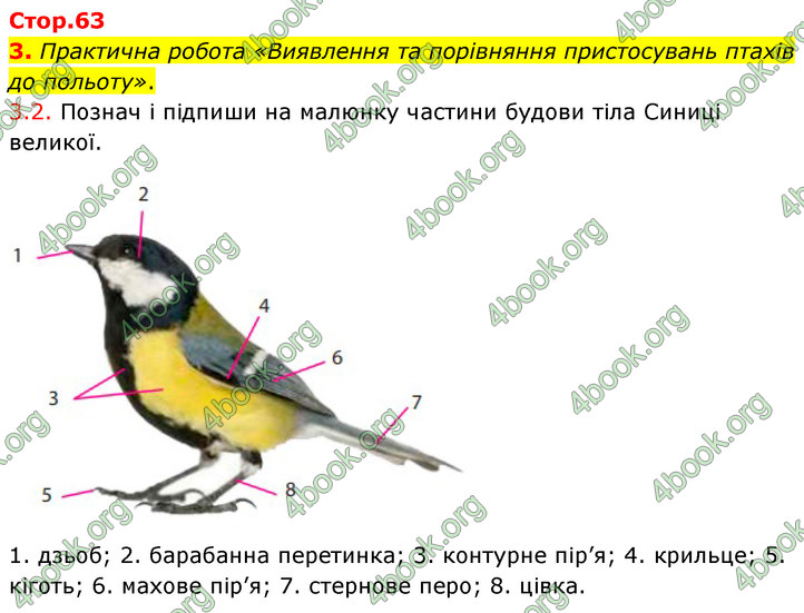 ГДЗ Зошит Біологія 7 клас Тагліна