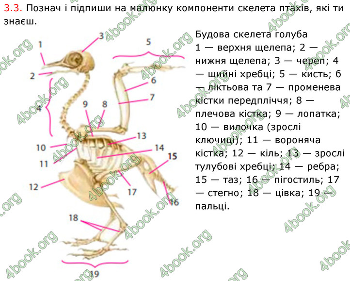 ГДЗ Зошит Біологія 7 клас Тагліна