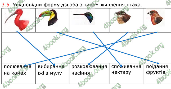 ГДЗ Зошит Біологія 7 клас Тагліна