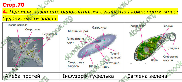 ГДЗ Зошит Біологія 7 клас Тагліна