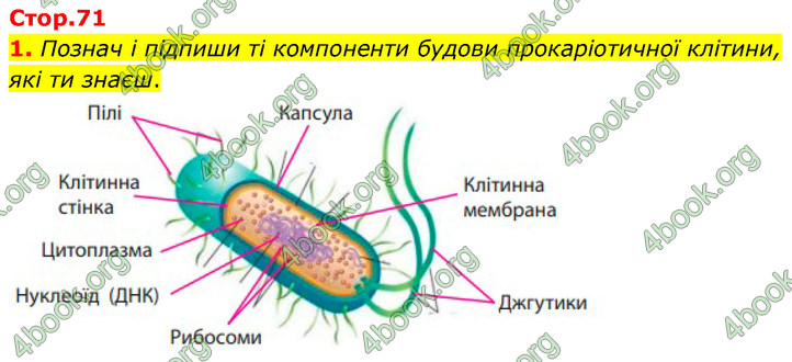 ГДЗ Зошит Біологія 7 клас Тагліна