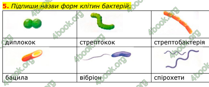 ГДЗ Зошит Біологія 7 клас Тагліна