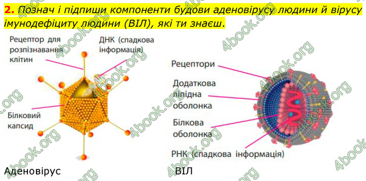 ГДЗ Зошит Біологія 7 клас Тагліна