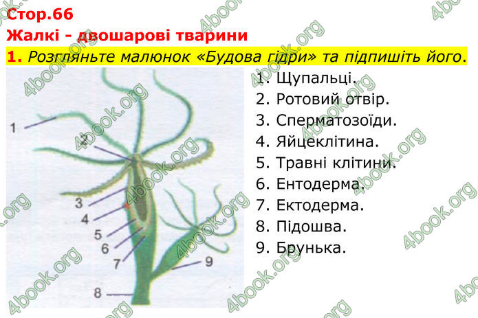 ГДЗ зошит Біологія 7 клас Кулініч