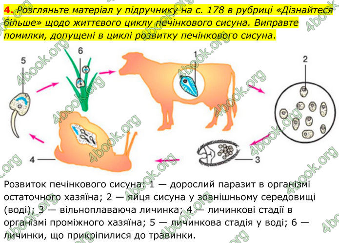 ГДЗ зошит Біологія 7 клас Кулініч