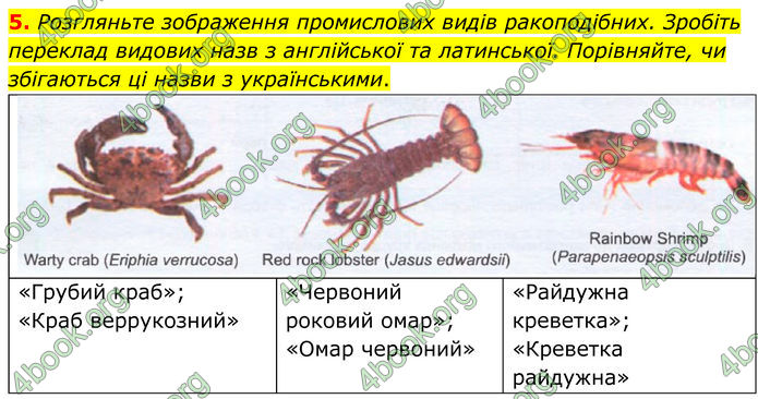 ГДЗ зошит Біологія 7 клас Кулініч