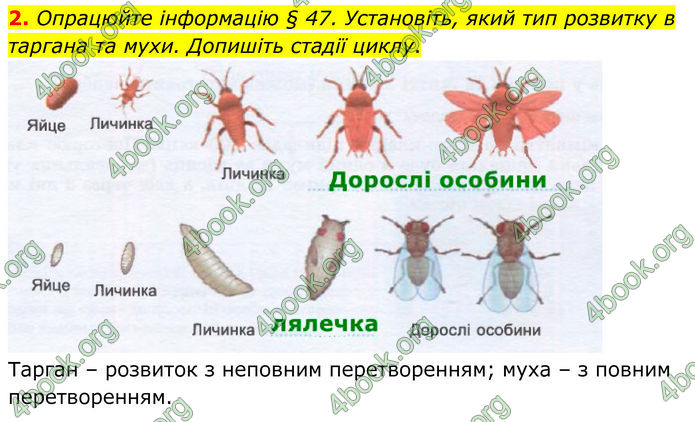 ГДЗ зошит Біологія 7 клас Кулініч