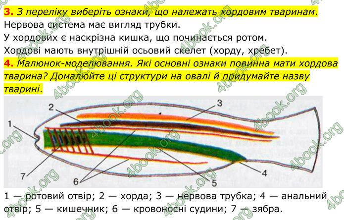 ГДЗ зошит Біологія 7 клас Кулініч