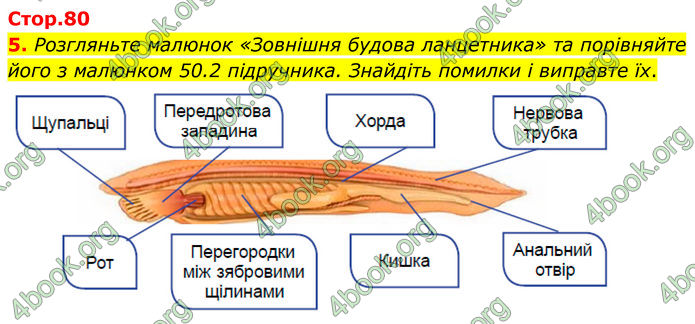 ГДЗ зошит Біологія 7 клас Кулініч