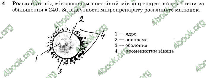 ГДЗ Біологія 10 клас Задорожний (Станд.)