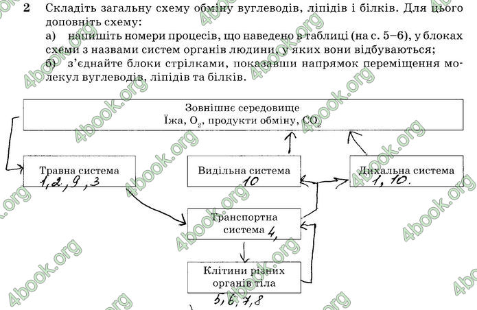 ГДЗ Біологія 10 клас Задорожний (Станд.)