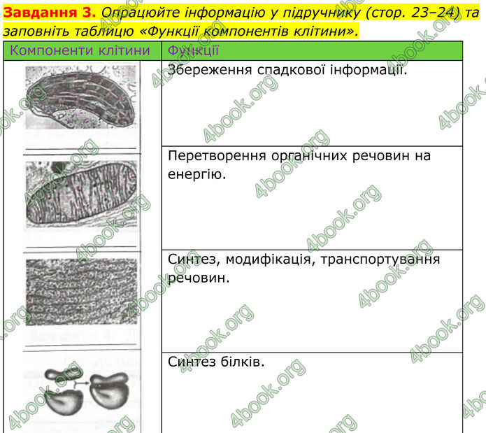 ГДЗ зошит Біологія 7 клас Мирна 2024 (НУШ)