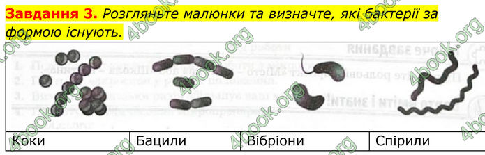 ГДЗ зошит Біологія 7 клас Мирна 2024 (НУШ)