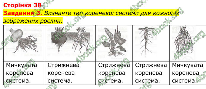 ГДЗ зошит Біологія 7 клас Мирна 2024 (НУШ)