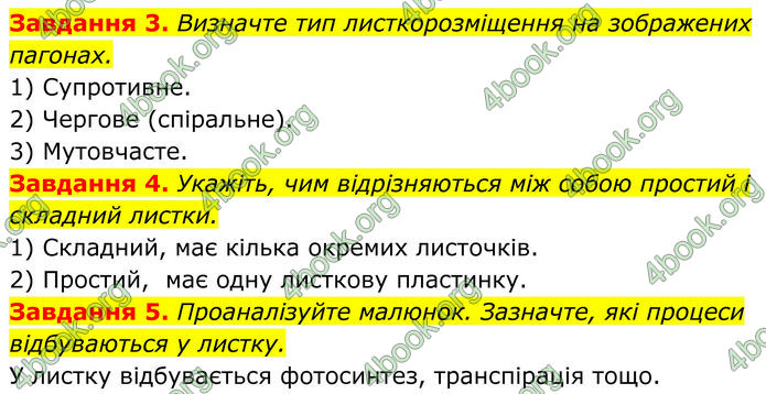 ГДЗ зошит Біологія 7 клас Мирна 2024 (НУШ)