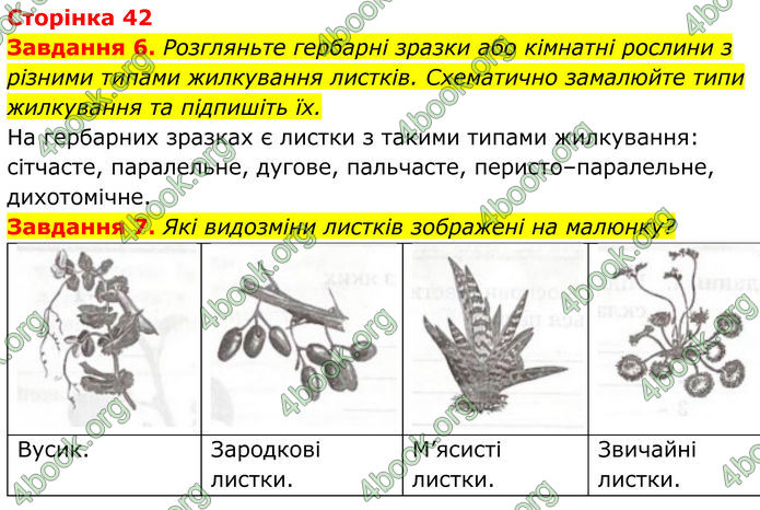 ГДЗ зошит Біологія 7 клас Мирна 2024 (НУШ)