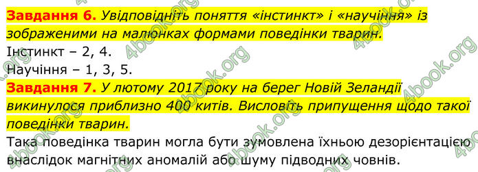 ГДЗ зошит Біологія 7 клас Мирна 2024 (НУШ)