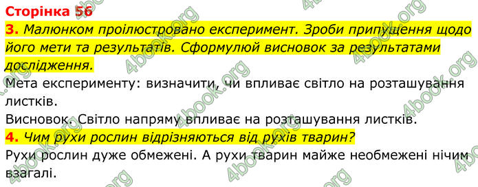 ГДЗ зошит Пізнаємо природу 5 клас Коршевнюк
