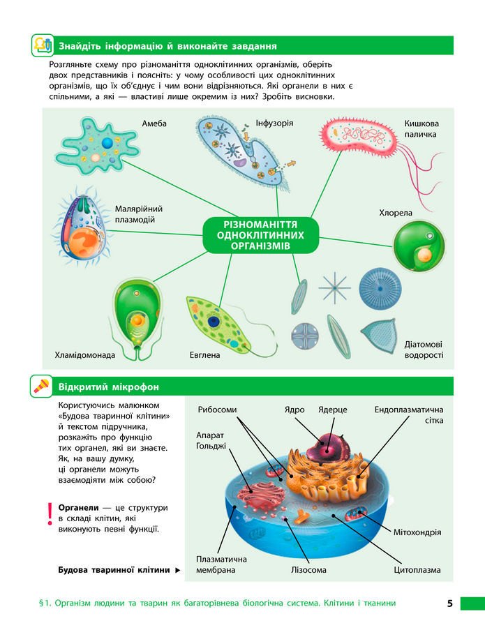 Підручник Біологія 8 клас Тагліна (2025)