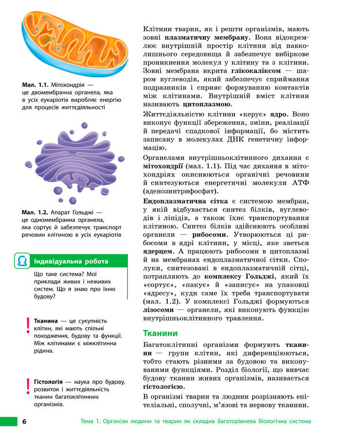 Підручник Біологія 8 клас Тагліна (2025)