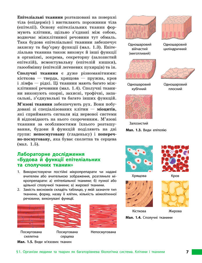 Підручник Біологія 8 клас Тагліна (2025)