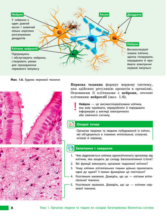 Підручник Біологія 8 клас Тагліна (2025)