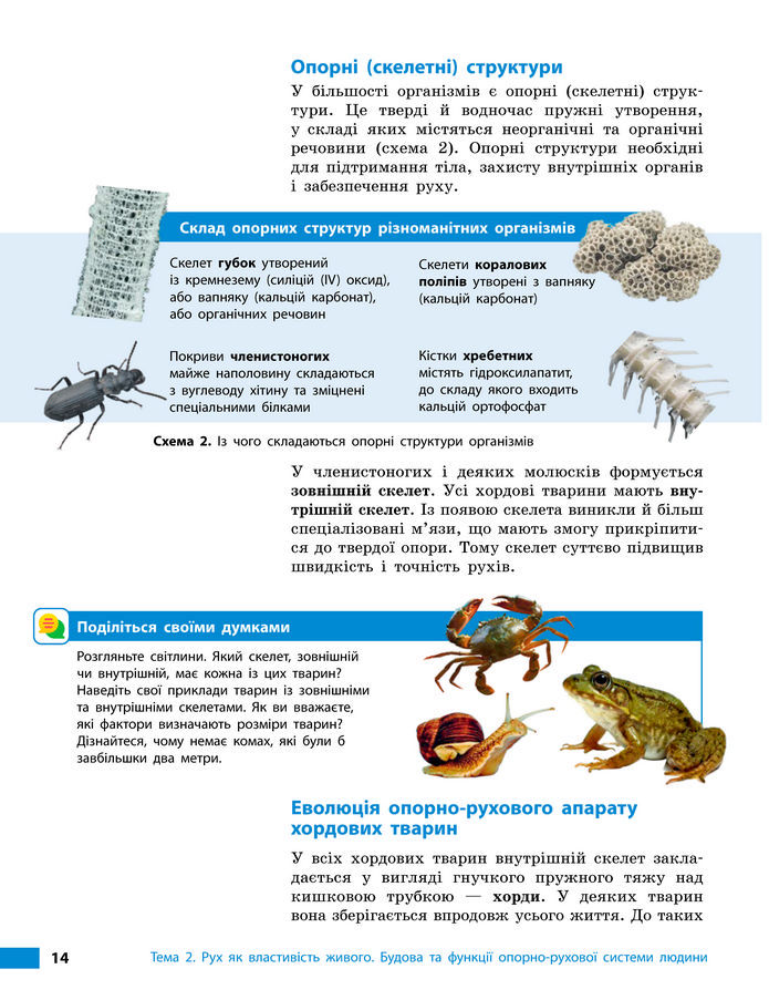 Підручник Біологія 8 клас Тагліна (2025)