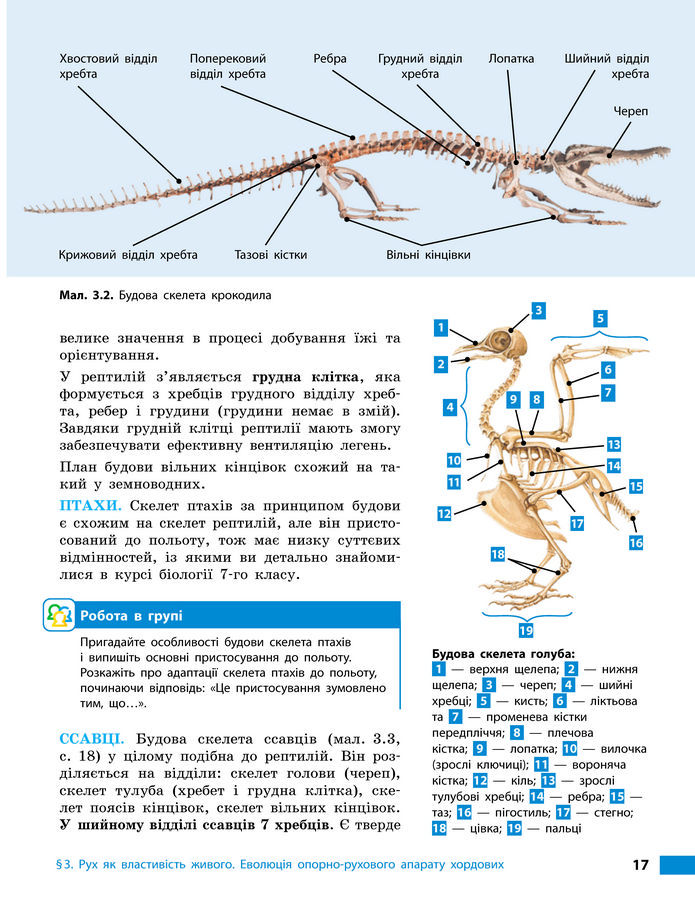 Підручник Біологія 8 клас Тагліна (2025)