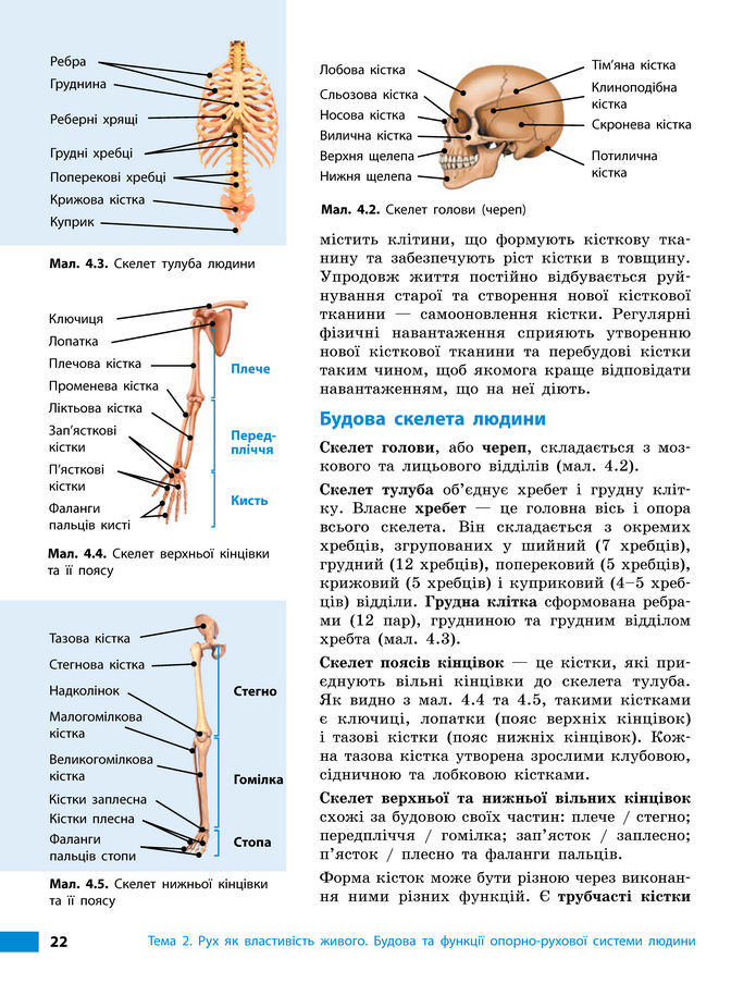 Підручник Біологія 8 клас Тагліна (2025)