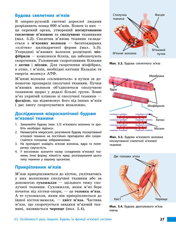 Підручник Біологія 8 клас Тагліна (2025)