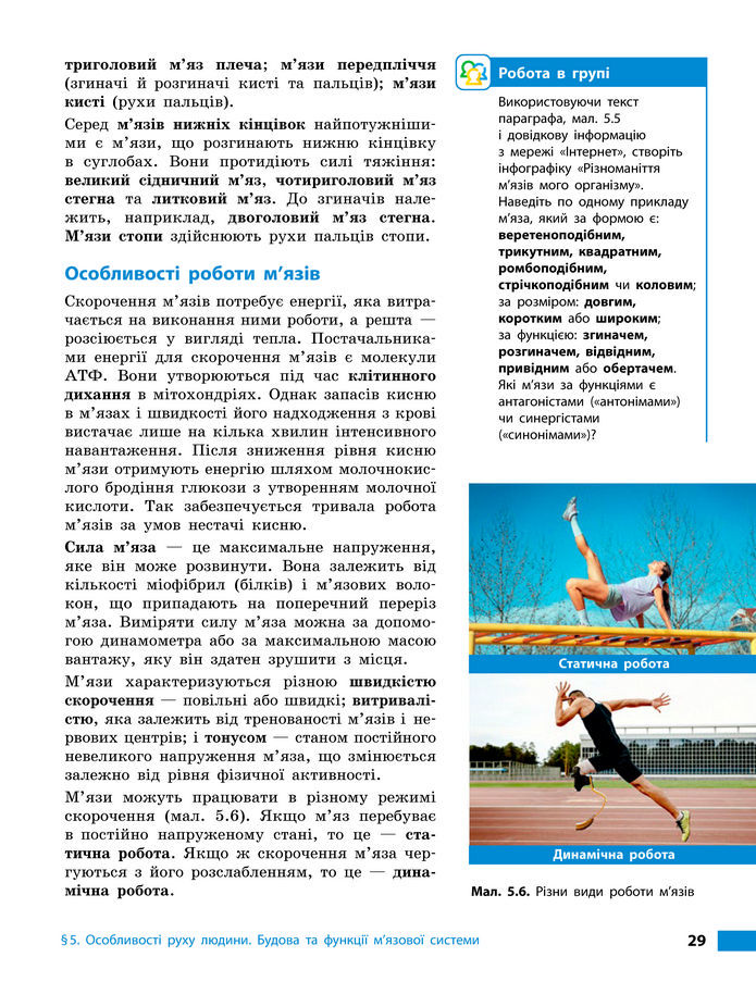 Підручник Біологія 8 клас Тагліна (2025)