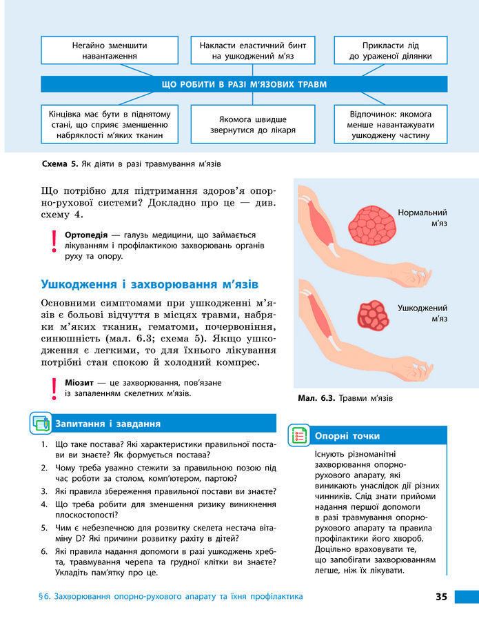 Підручник Біологія 8 клас Тагліна (2025)