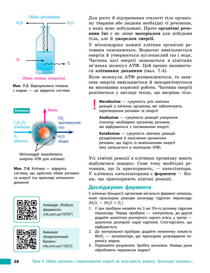 Підручник Біологія 8 клас Тагліна (2025)