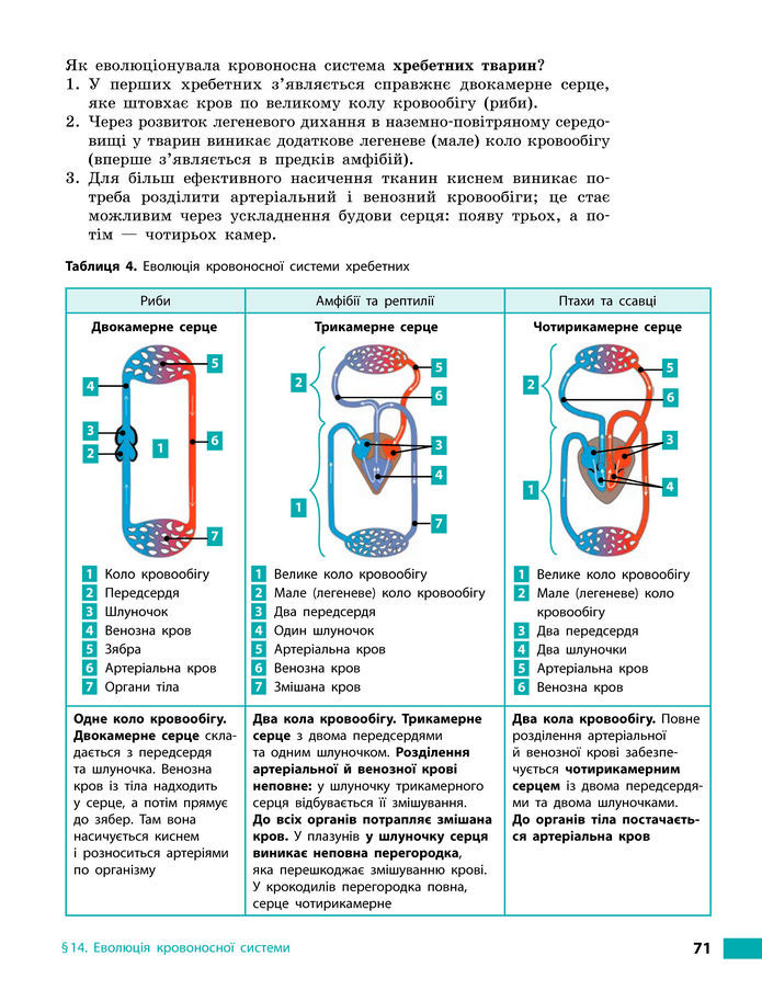 Підручник Біологія 8 клас Тагліна (2025)