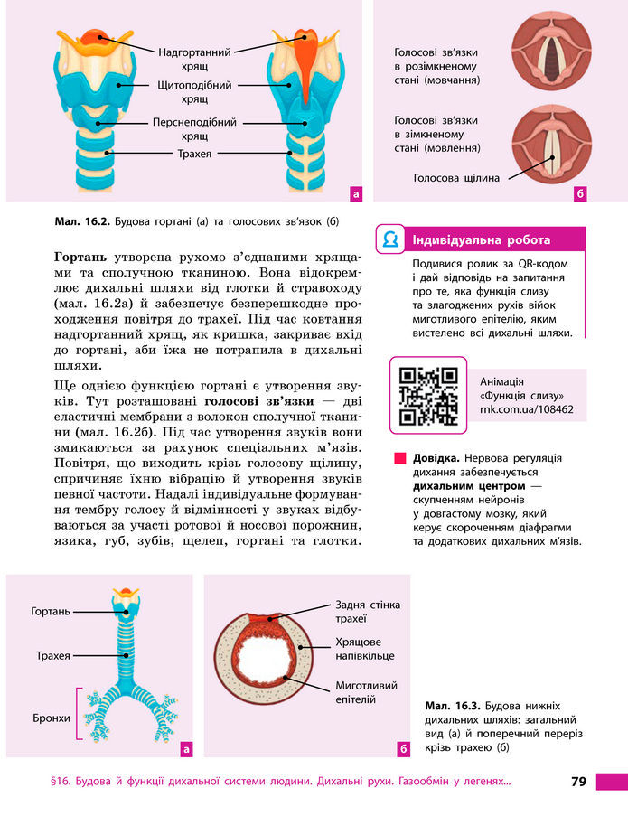 Підручник Біологія 8 клас Тагліна (2025)